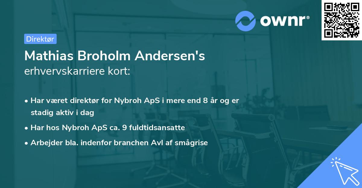 Mathias Broholm Andersen's erhvervskarriere kort