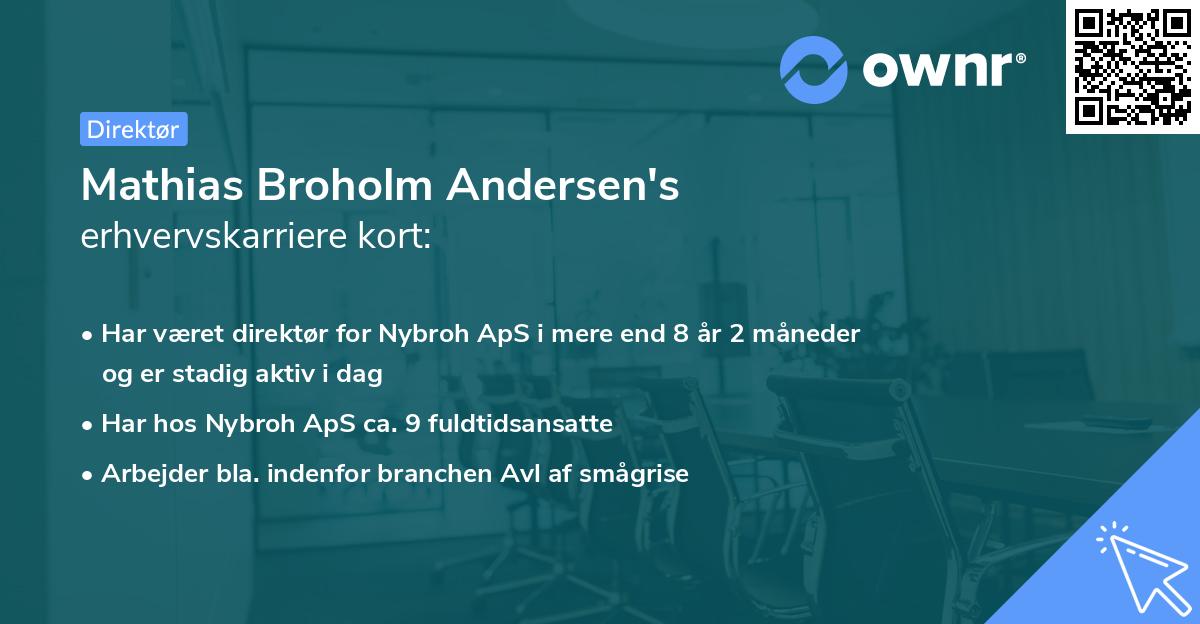 Mathias Broholm Andersen's erhvervskarriere kort