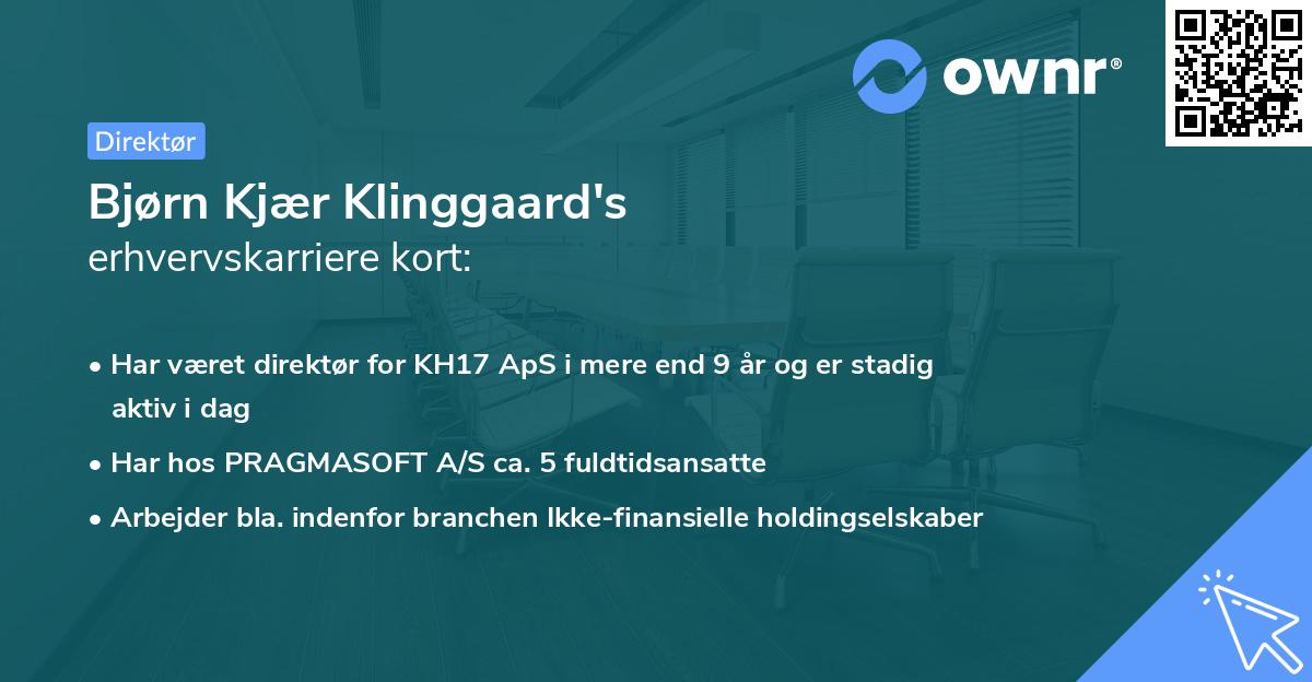 Bjørn Kjær Klinggaard's erhvervskarriere kort
