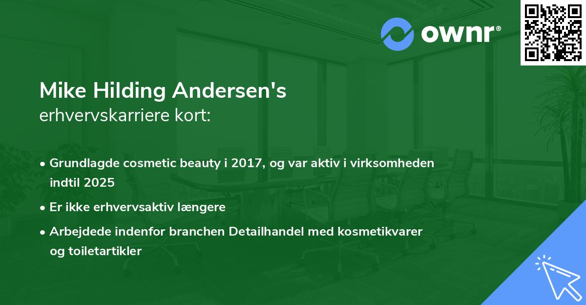 Mike Hilding Andersen's erhvervskarriere kort