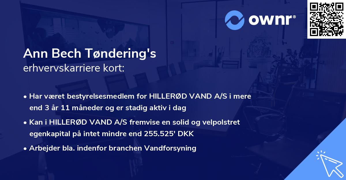 Ann Bech Tøndering's erhvervskarriere kort