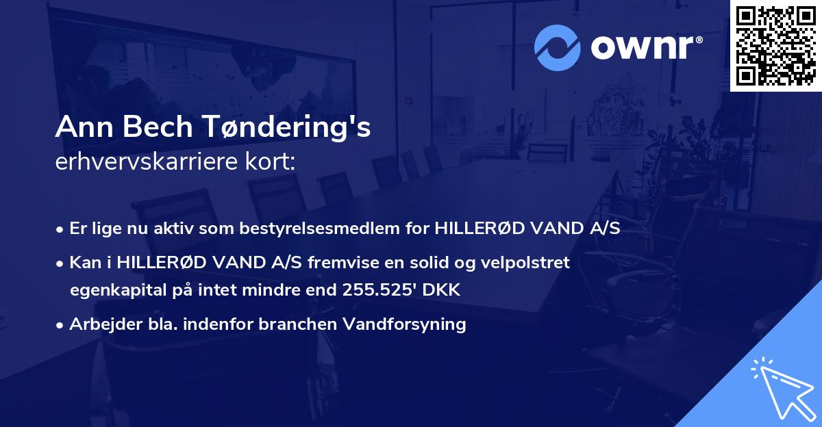 Ann Bech Tøndering's erhvervskarriere kort