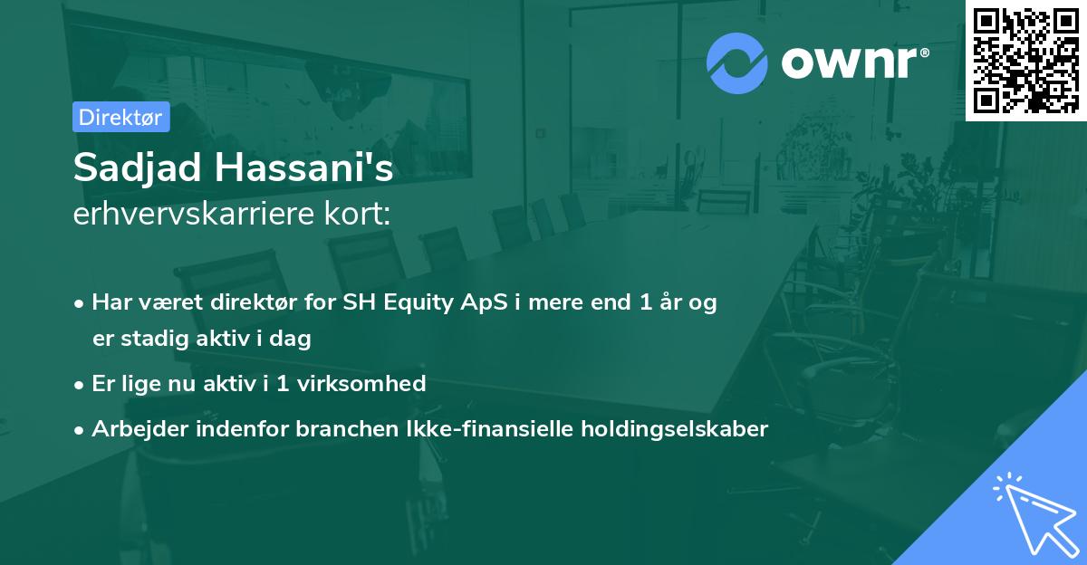 Sadjad Hassani's erhvervskarriere kort