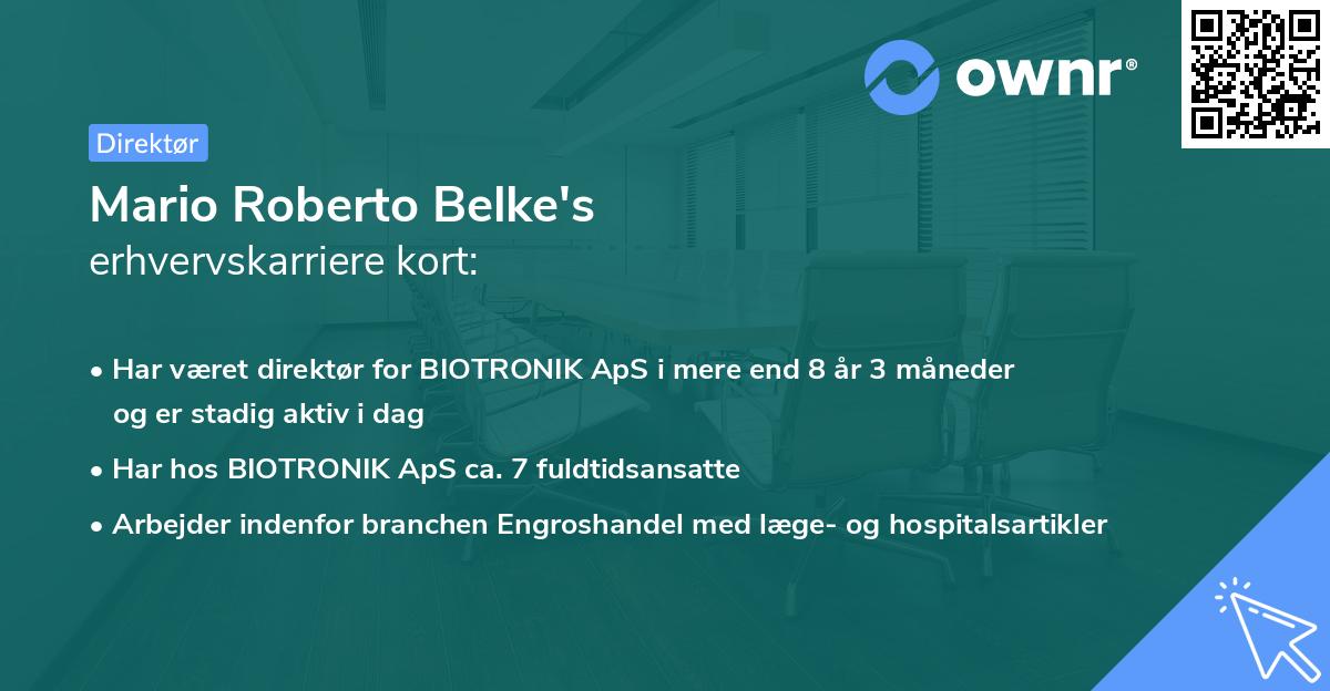 Mario Roberto Belke's erhvervskarriere kort