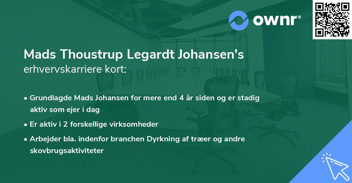 Mads Thoustrup Legardt Johansen's erhvervskarriere kort