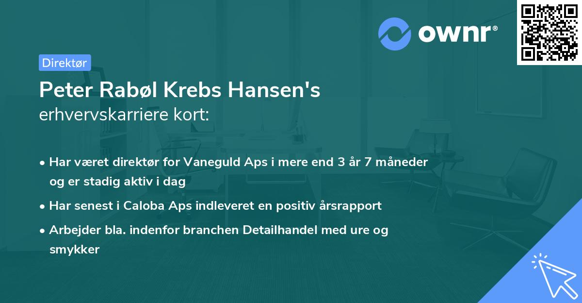 Peter Rabøl Krebs Hansen's erhvervskarriere kort