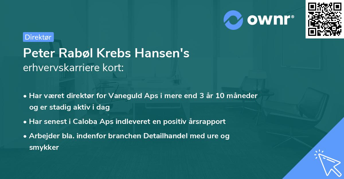 Peter Rabøl Krebs Hansen's erhvervskarriere kort