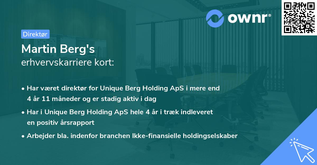Martin Berg's erhvervskarriere kort