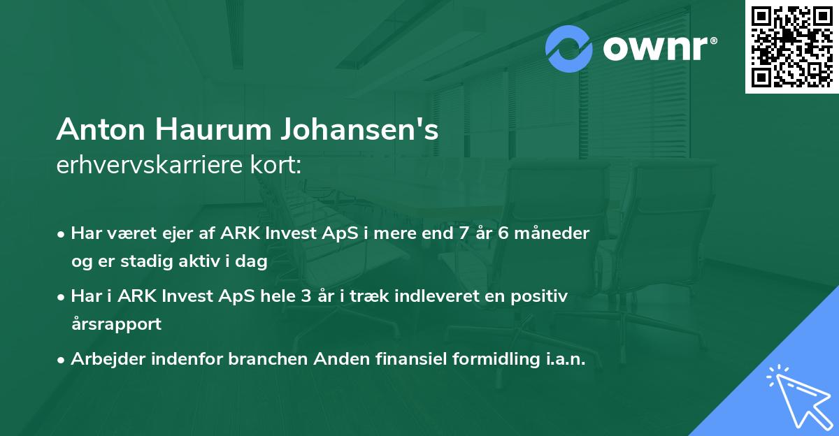 Anton Haurum Johansen's erhvervskarriere kort