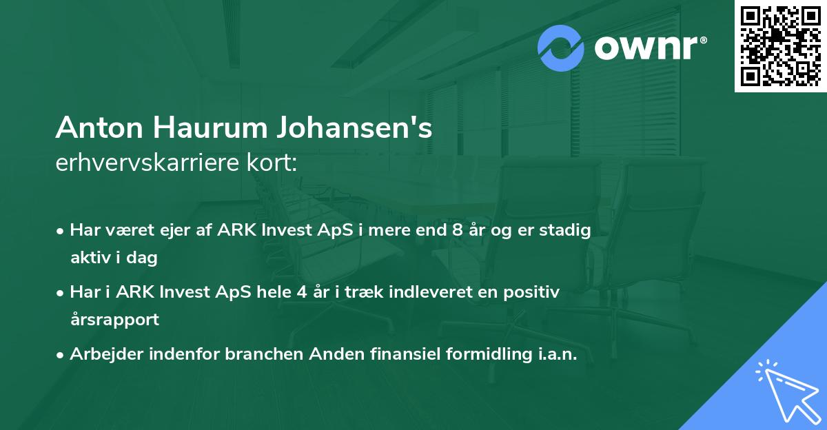 Anton Haurum Johansen's erhvervskarriere kort