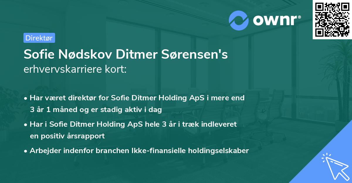 Sofie Nødskov Ditmer Sørensen's erhvervskarriere kort