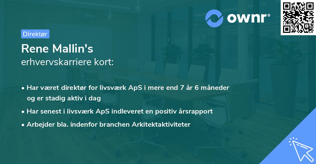 Rene Mallin's erhvervskarriere kort