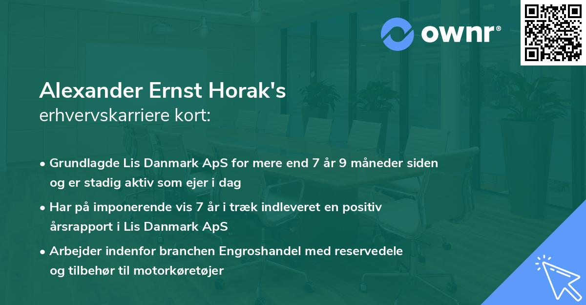 Alexander Ernst Horak's erhvervskarriere kort