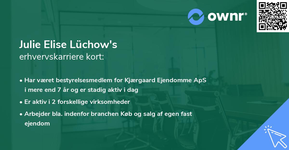 Julie Elise Lüchow's erhvervskarriere kort