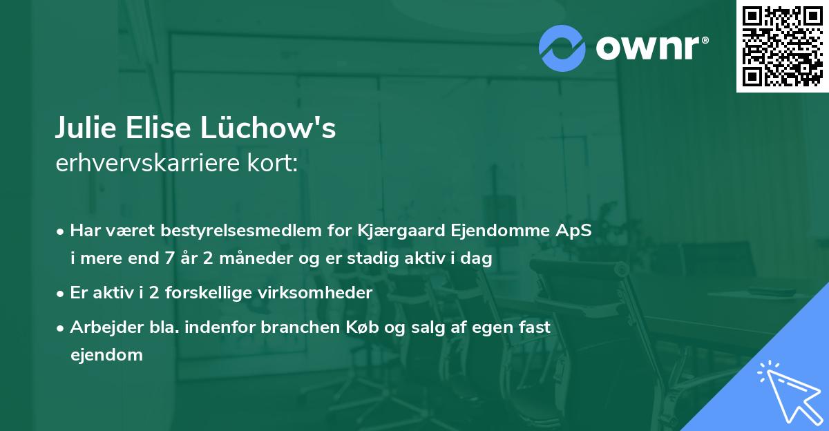 Julie Elise Lüchow's erhvervskarriere kort