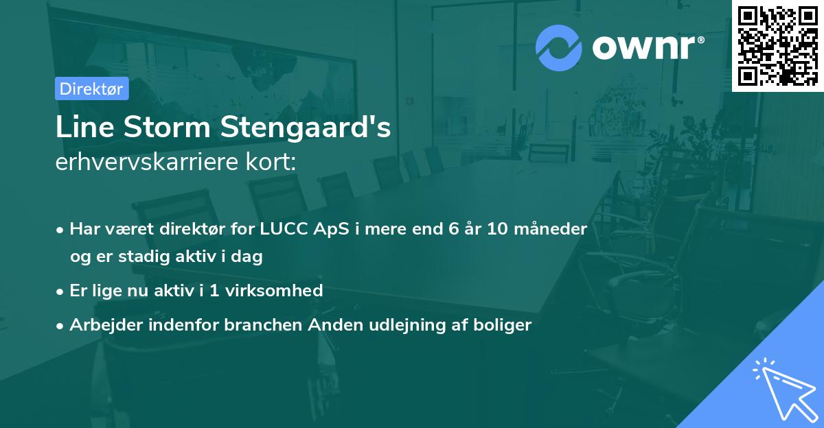 Line Storm Stengaard's erhvervskarriere kort