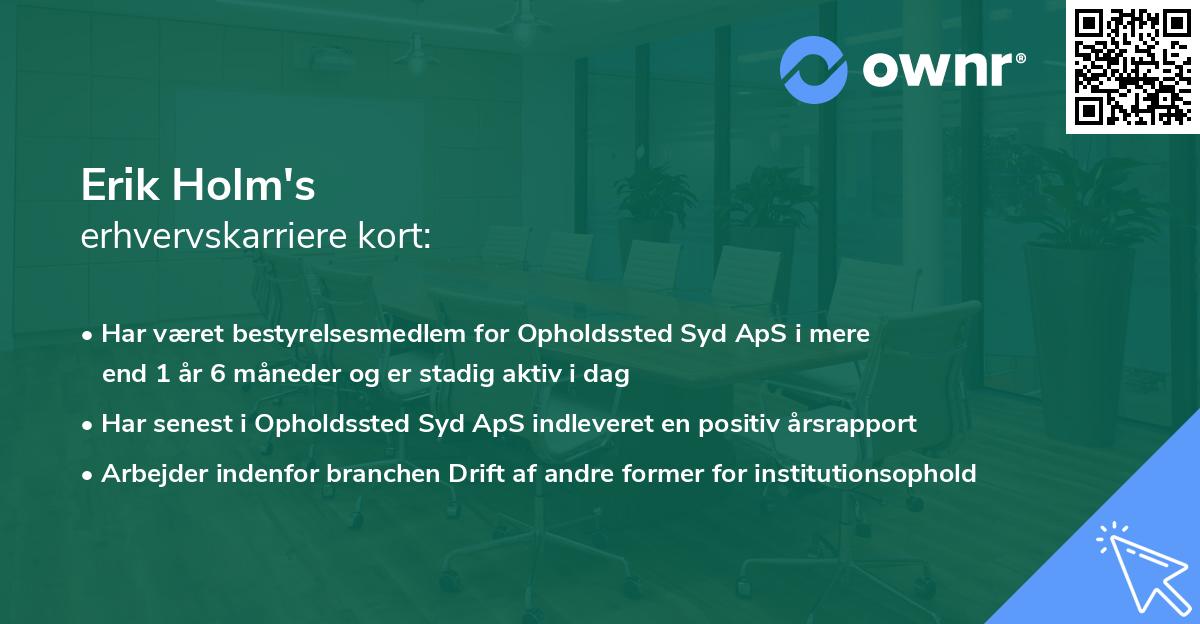 Erik Holm's erhvervskarriere kort