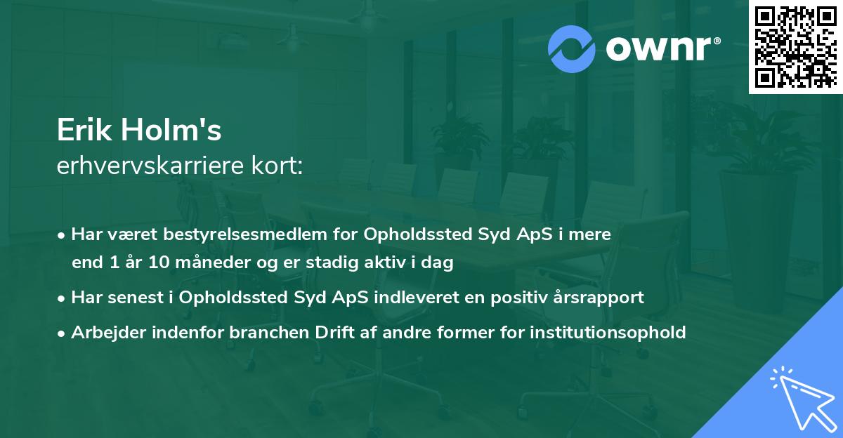 Erik Holm's erhvervskarriere kort