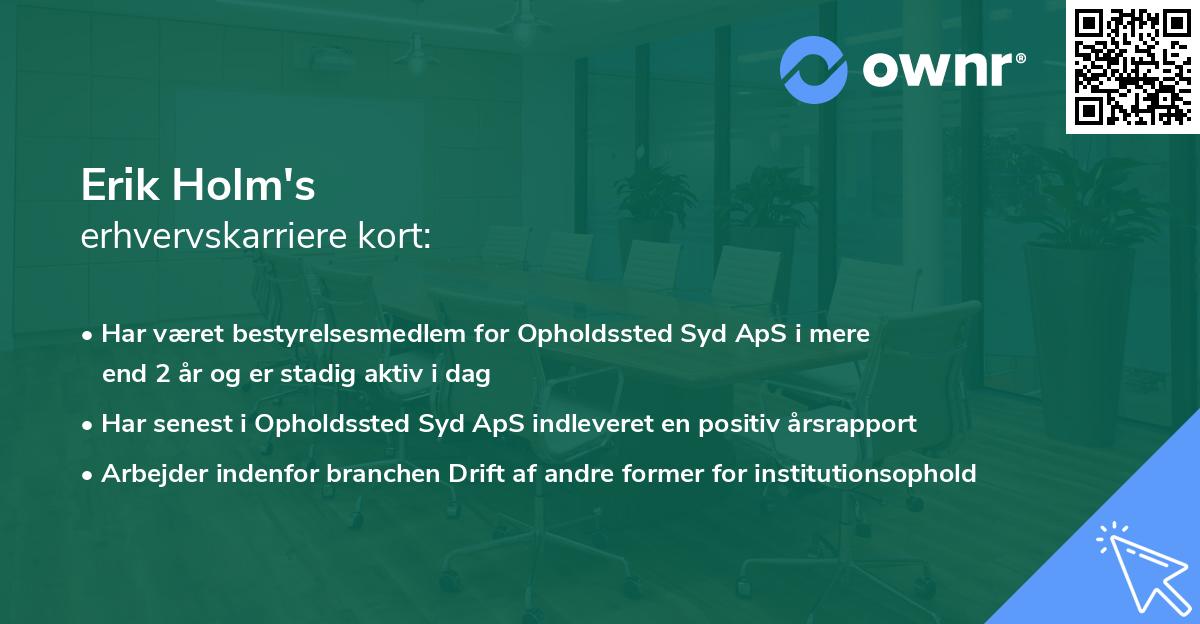 Erik Holm's erhvervskarriere kort