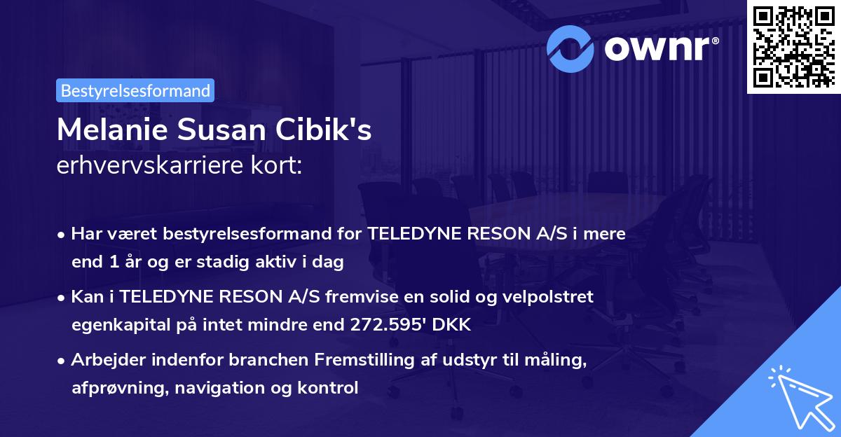 Melanie Susan Cibik's erhvervskarriere kort