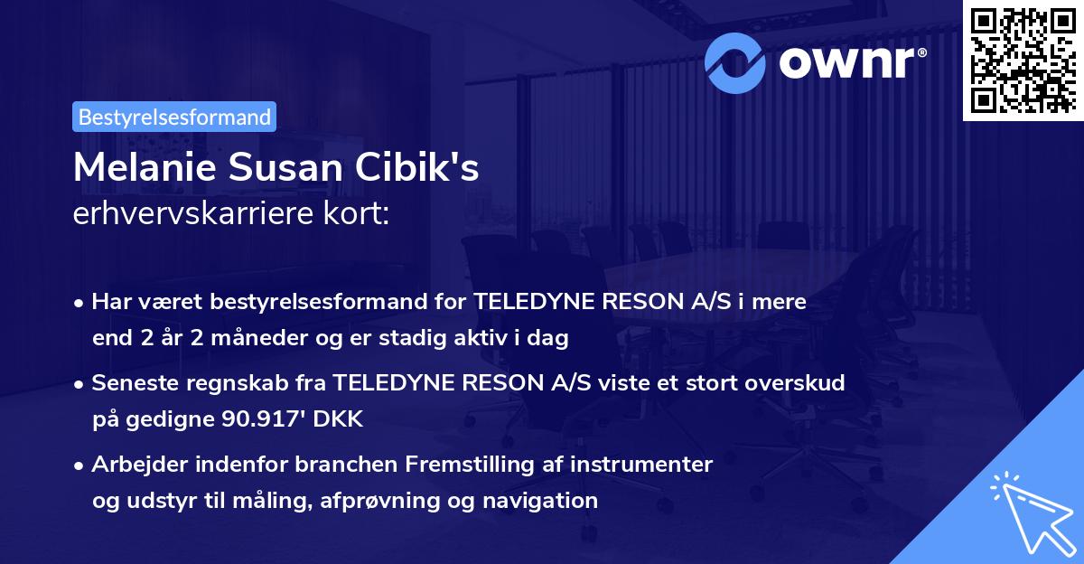 Melanie Susan Cibik's erhvervskarriere kort
