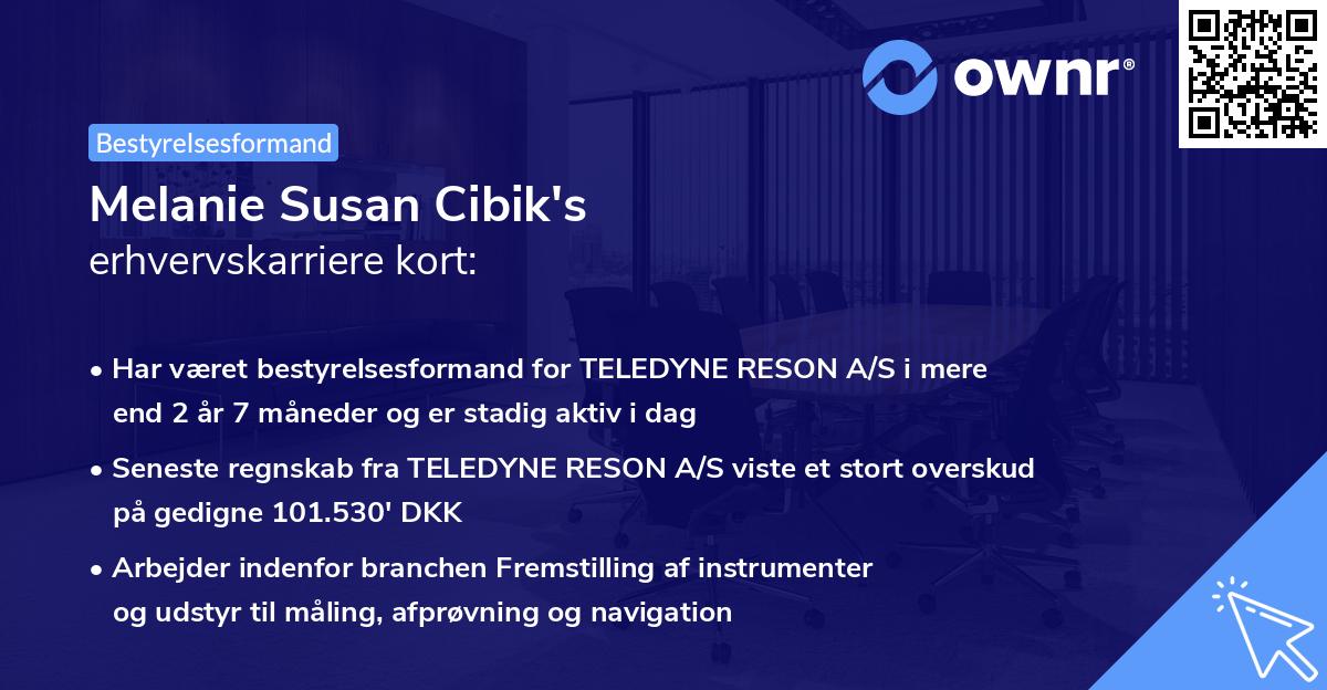 Melanie Susan Cibik's erhvervskarriere kort