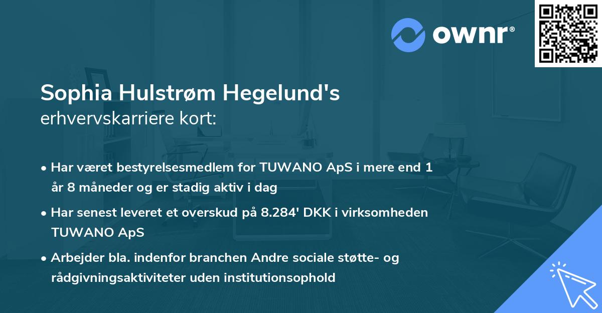 Sophia Hulstrøm Hegelund's erhvervskarriere kort