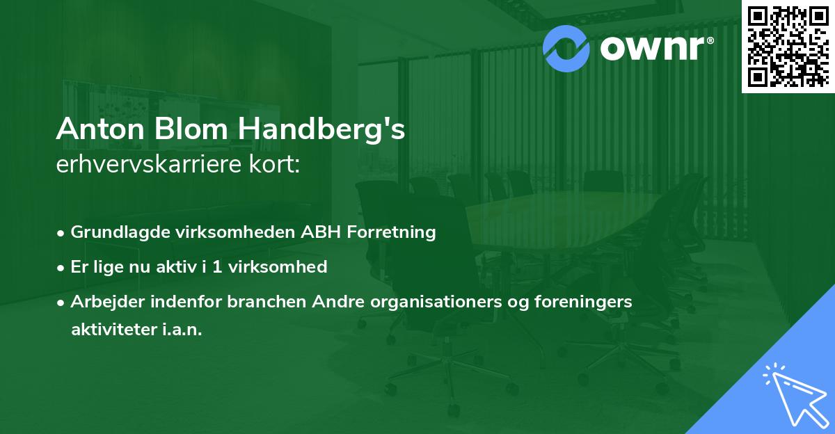 Anton Blom Handberg's erhvervskarriere kort