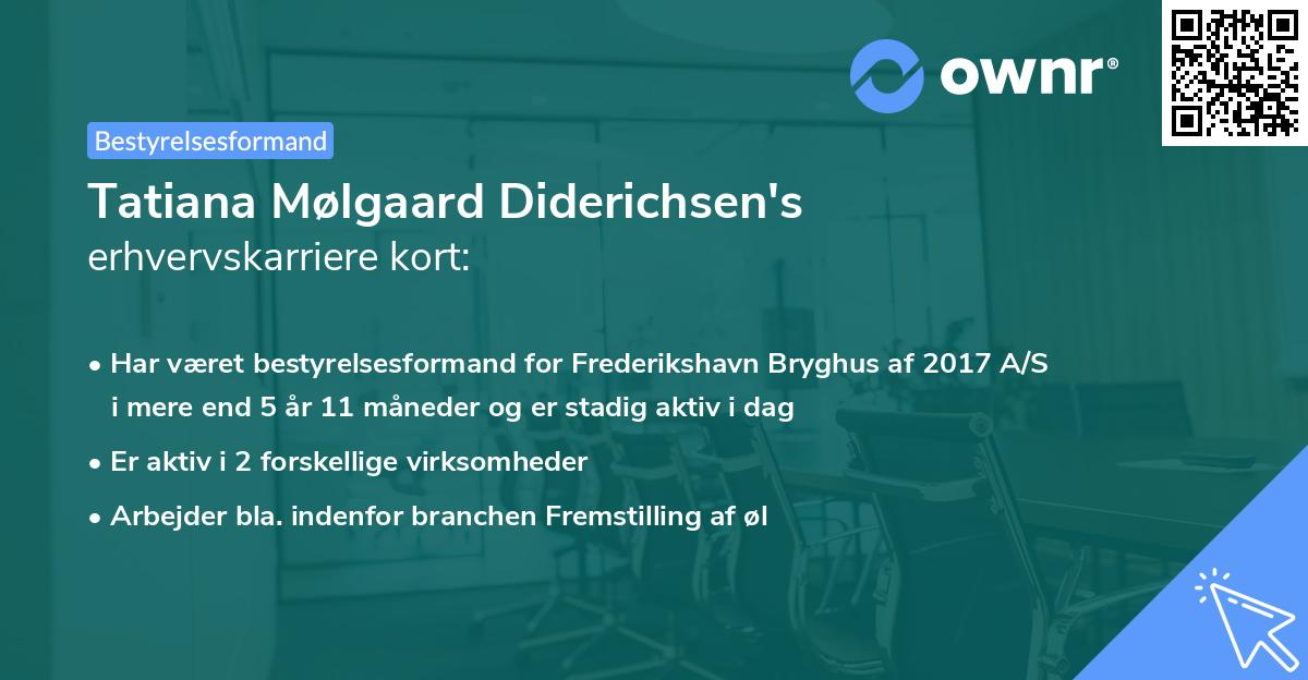 Tatiana Mølgaard Diderichsen's erhvervskarriere kort