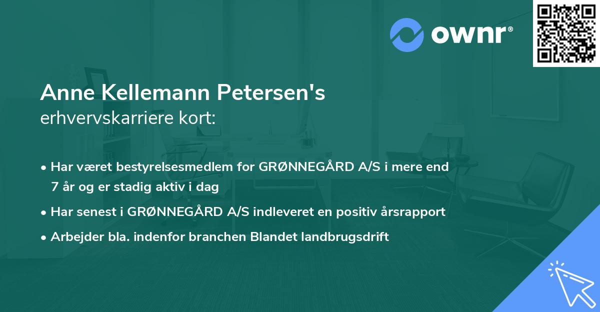 Anne Kellemann Petersen's erhvervskarriere kort