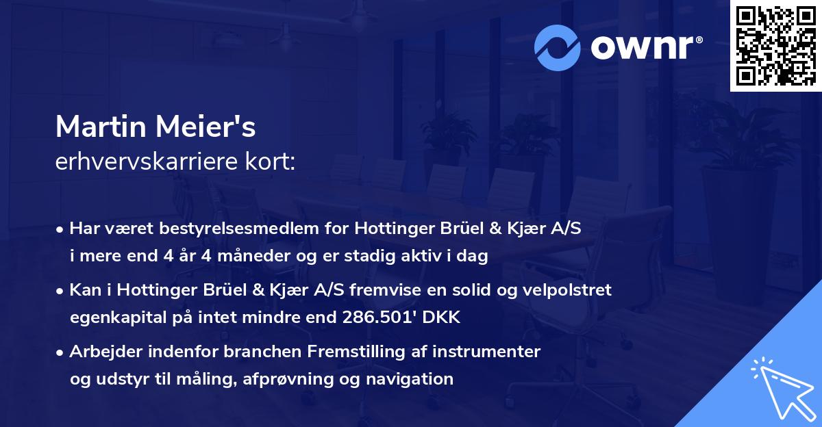 Martin Meier's erhvervskarriere kort