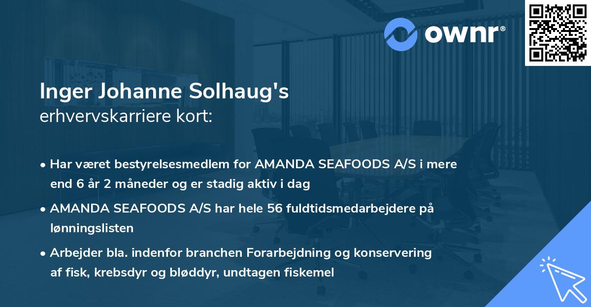 Inger Johanne Solhaug's erhvervskarriere kort