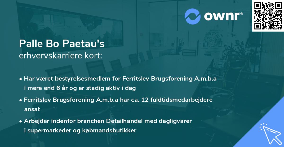 Palle Bo Paetau's erhvervskarriere kort