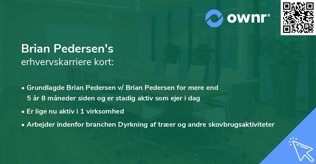 Brian Pedersen's erhvervskarriere kort