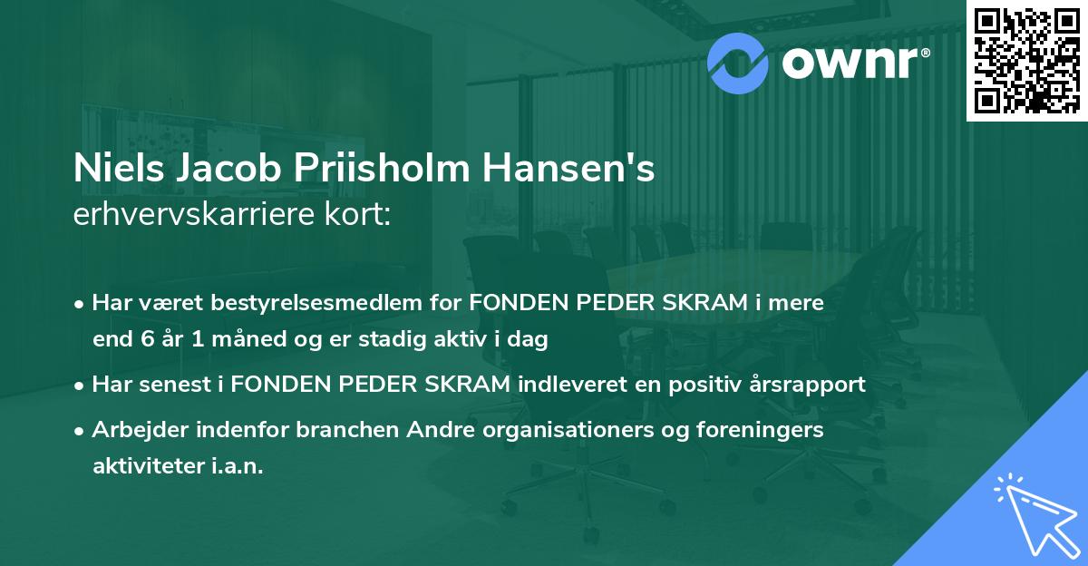 Niels Jacob Priisholm Hansen's erhvervskarriere kort