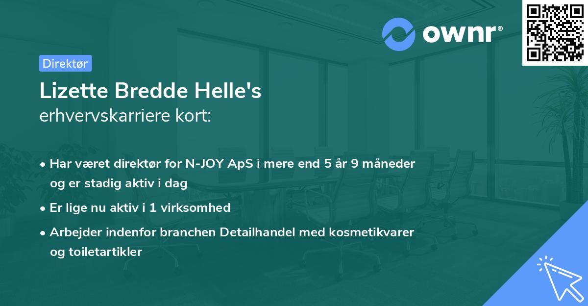 Lizette Bredde Helle's erhvervskarriere kort
