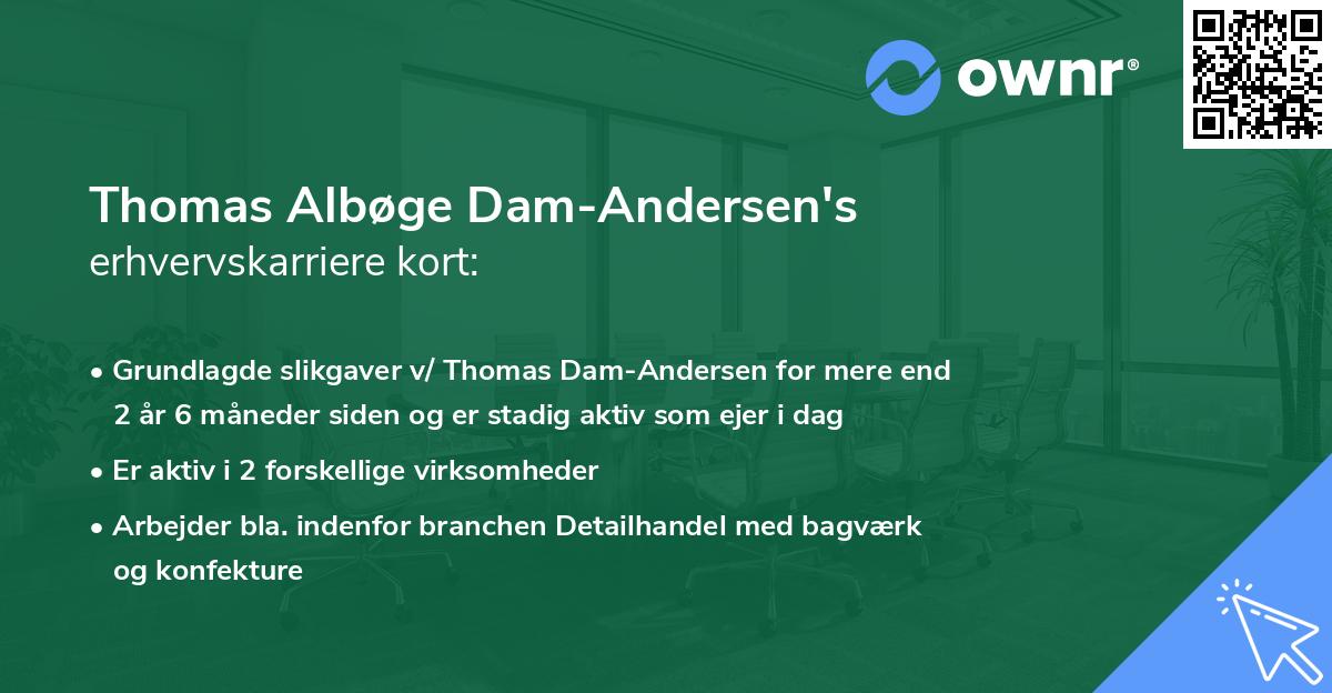 Thomas Albøge Dam-Andersen's erhvervskarriere kort