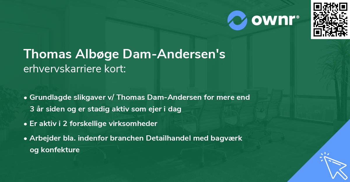Thomas Albøge Dam-Andersen's erhvervskarriere kort
