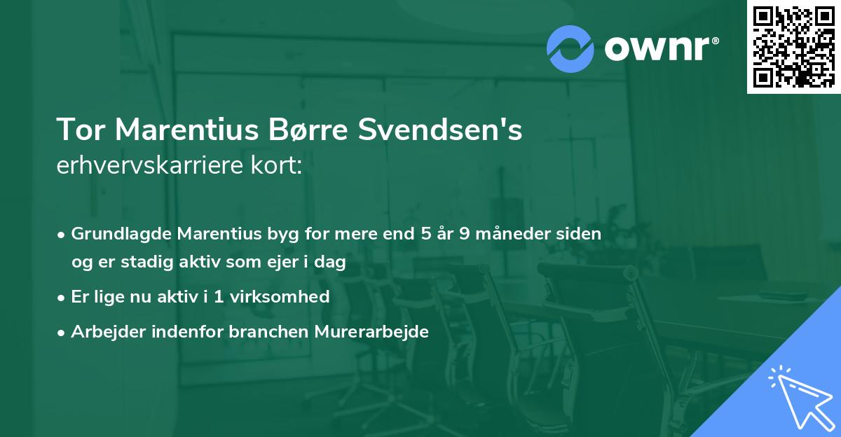 Tor Marentius Børre Svendsen's erhvervskarriere kort