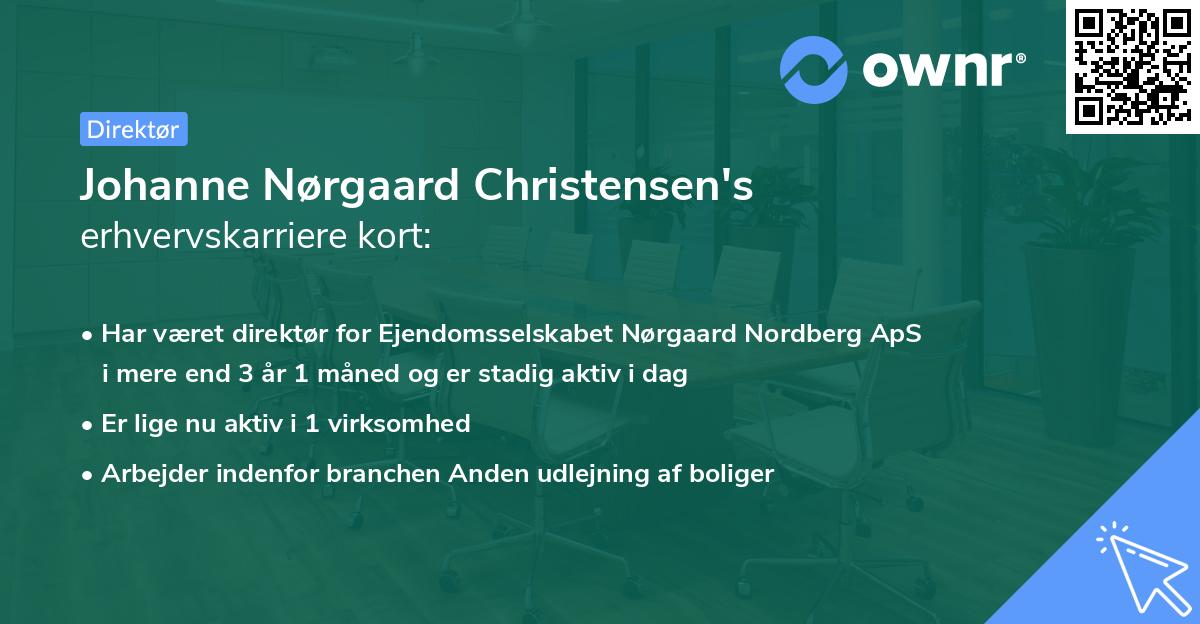 Johanne Nørgaard Christensen's erhvervskarriere kort