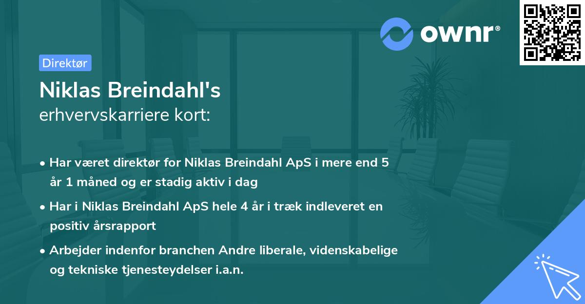 Niklas Breindahl's erhvervskarriere kort