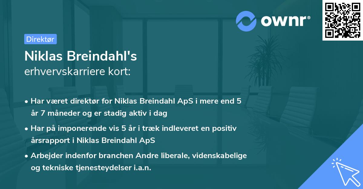 Niklas Breindahl's erhvervskarriere kort