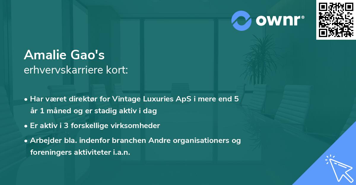 Amalie Gao's erhvervskarriere kort