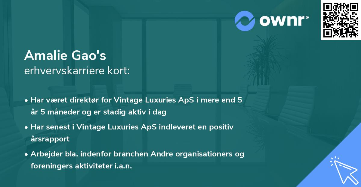 Amalie Gao's erhvervskarriere kort