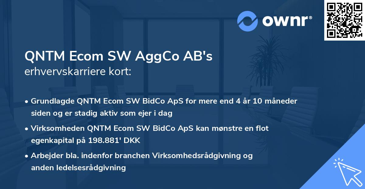QNTM Ecom SW AggCo AB's erhvervskarriere kort
