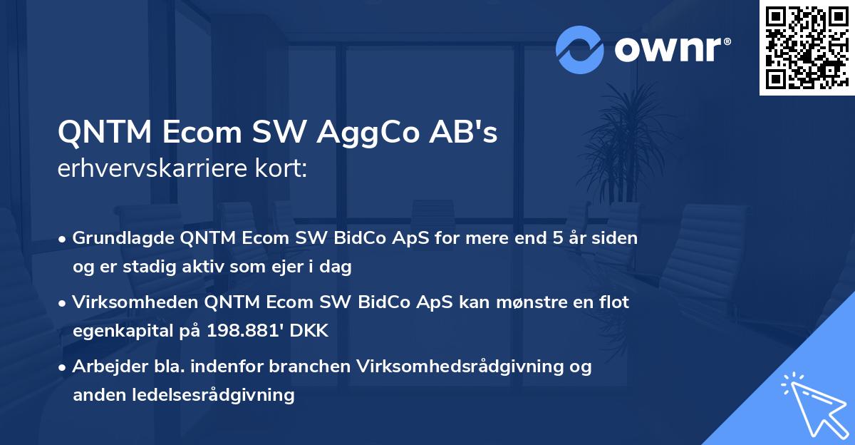 QNTM Ecom SW AggCo AB's erhvervskarriere kort