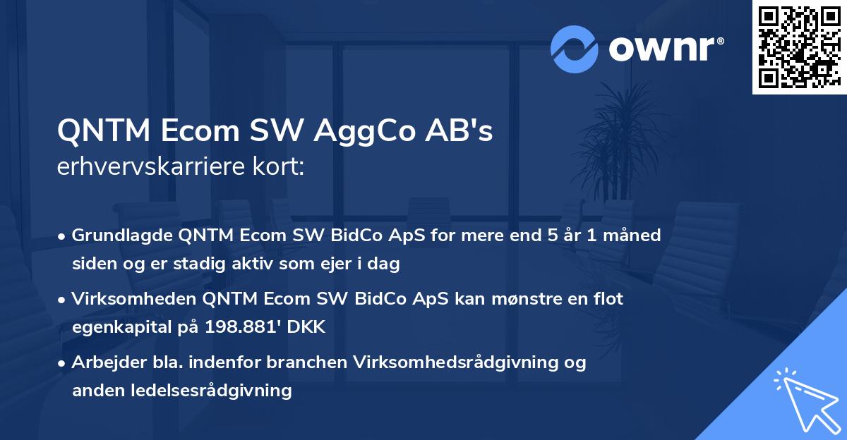 QNTM Ecom SW AggCo AB's erhvervskarriere kort