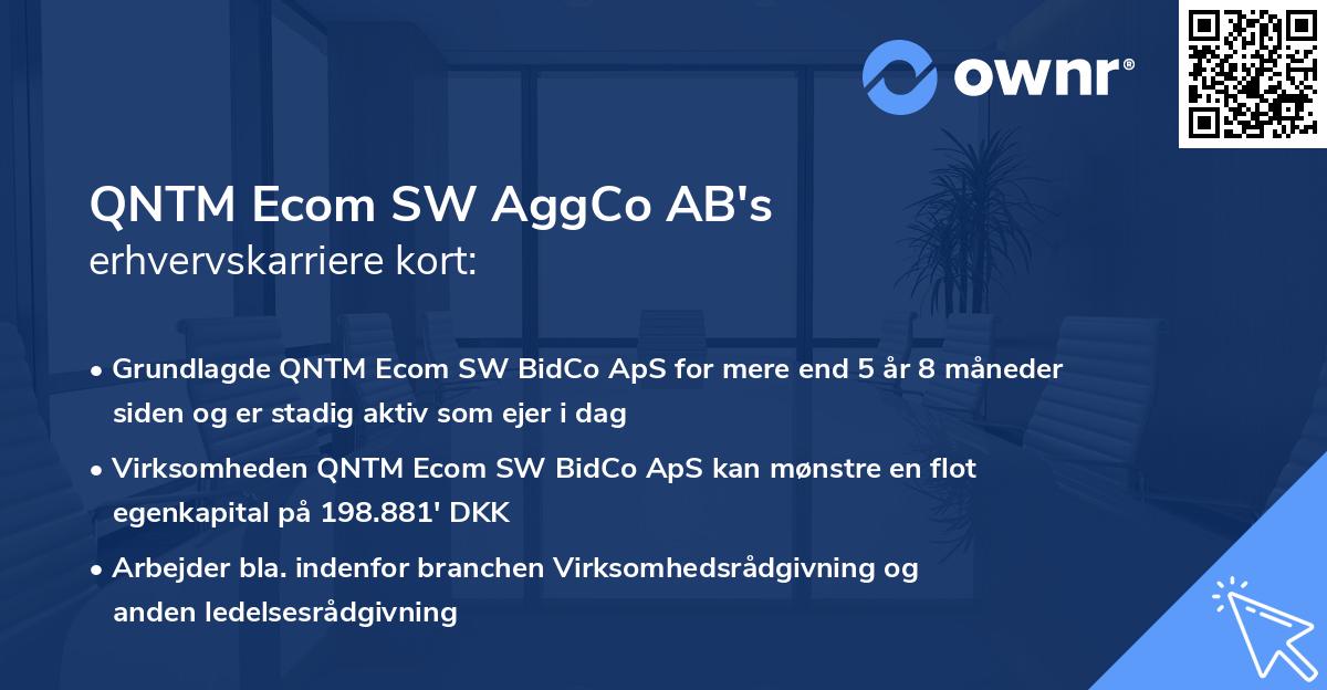 QNTM Ecom SW AggCo AB's erhvervskarriere kort