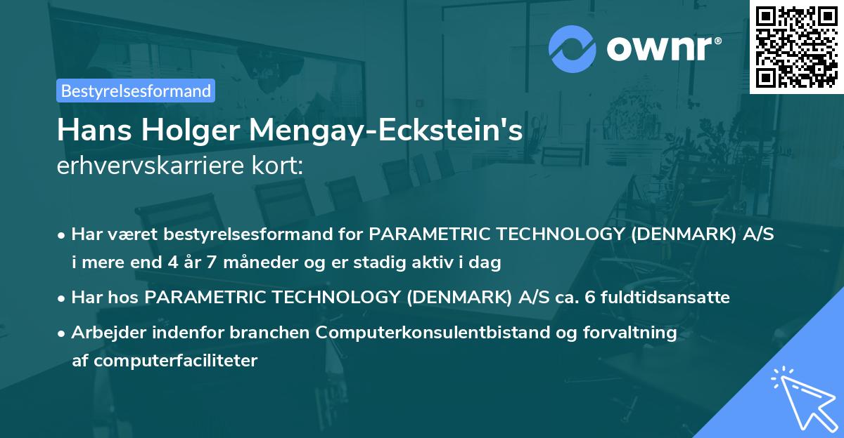 Hans Holger Mengay-Eckstein's erhvervskarriere kort