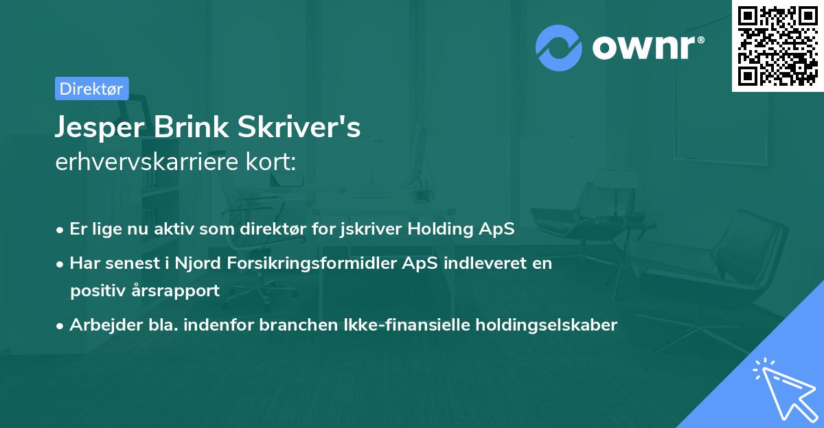 Jesper Brink Skriver's erhvervskarriere kort